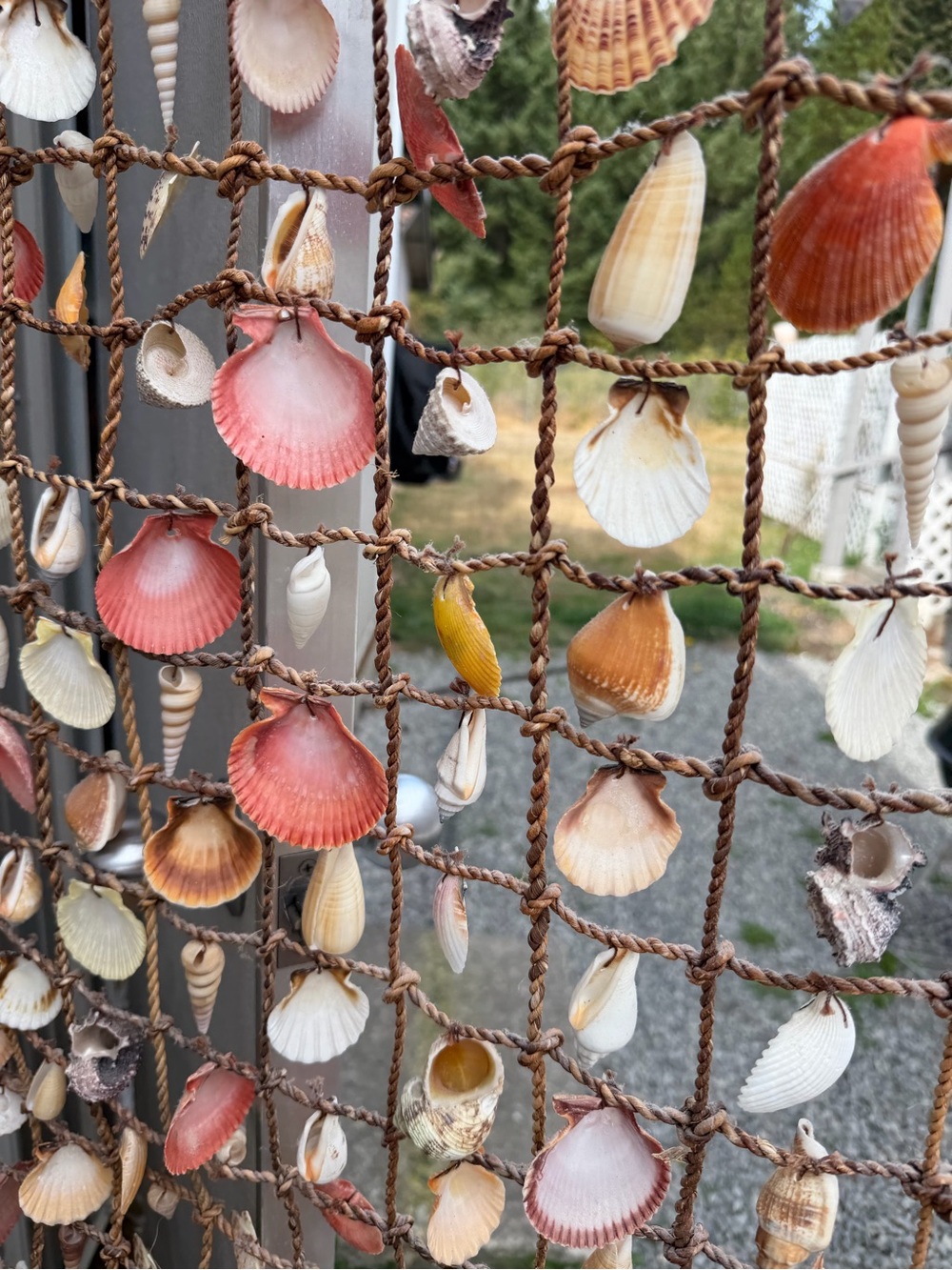 Seashell Net Wall Hanging - Picture 3 of 8